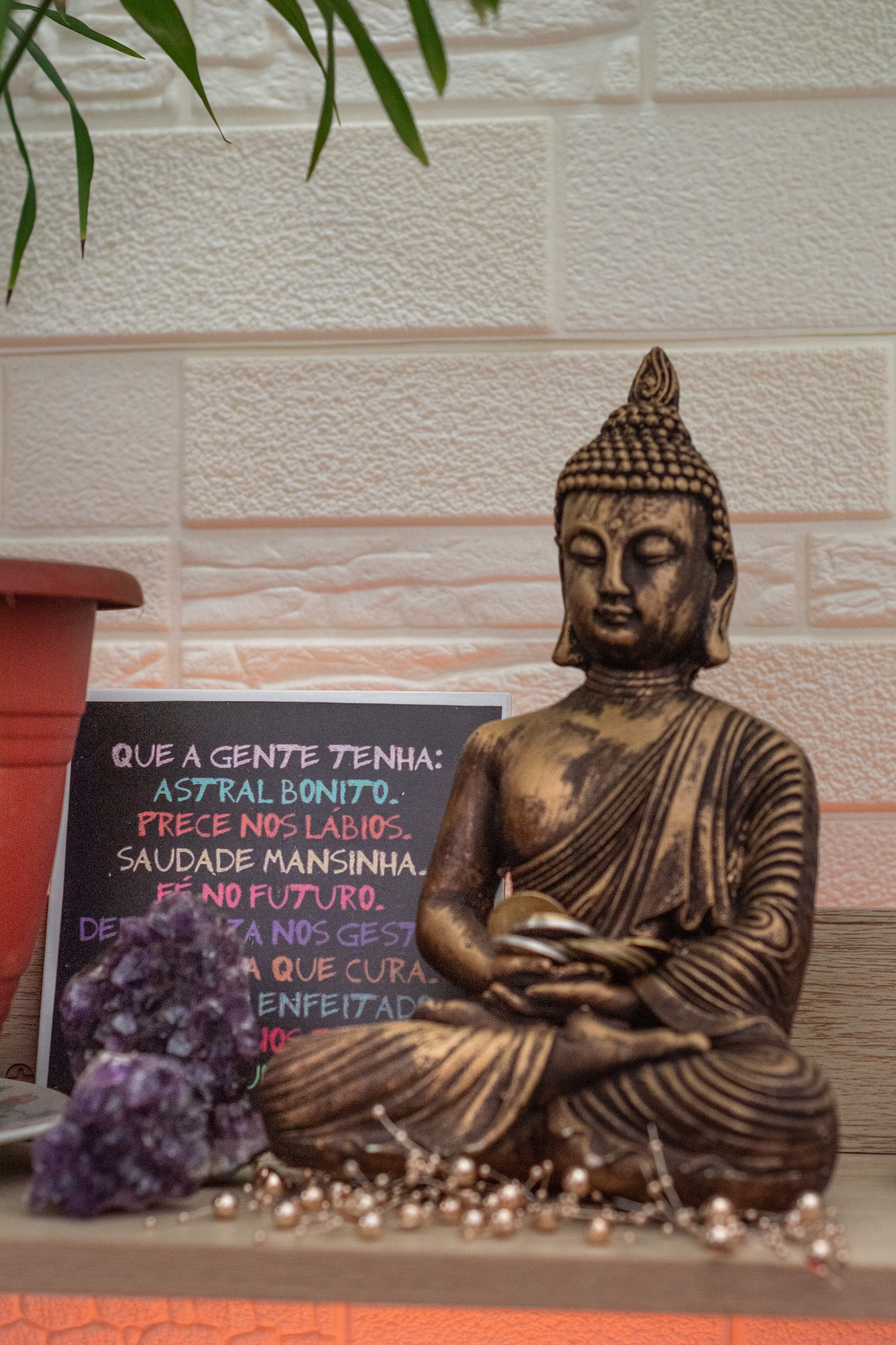 Yaniré Maurín en ambiente terapéutico